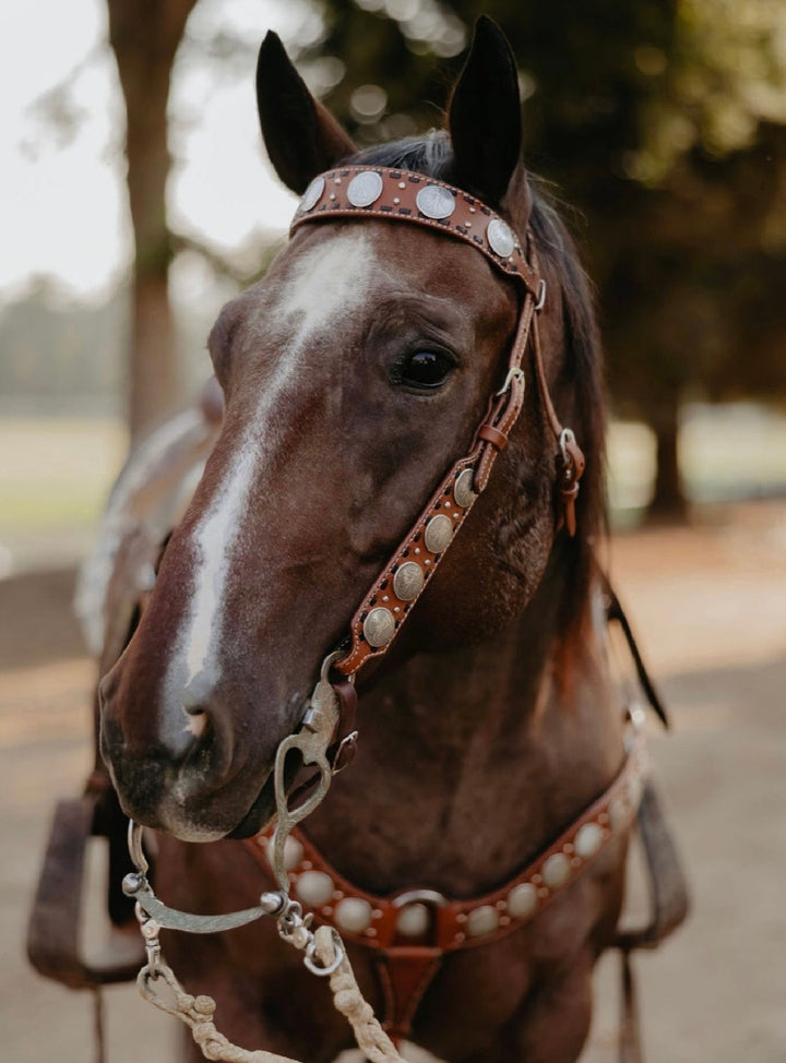 Dinero Headstall