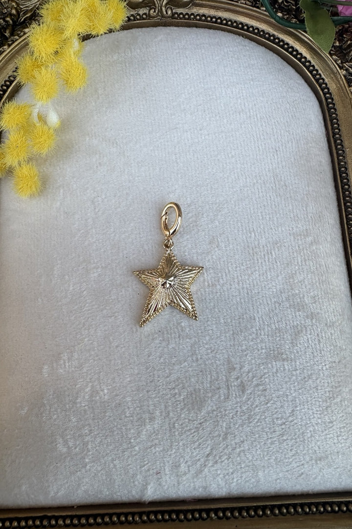 Lone Star Gold Charm