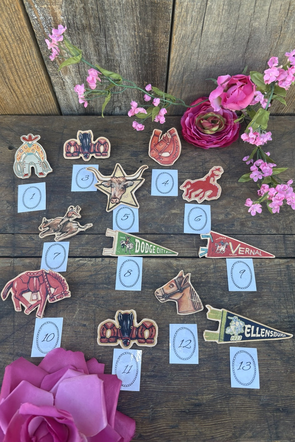 Cowpoke Pins