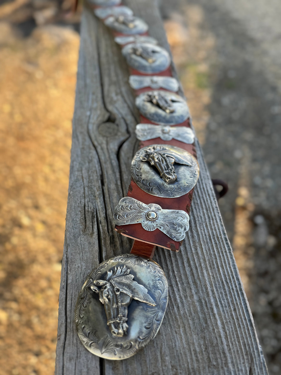 Whipstitch Wilma Concho Belt