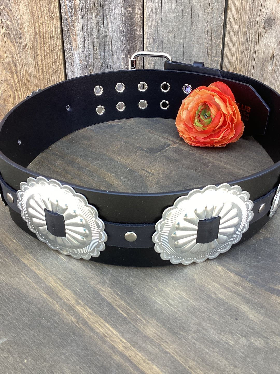 Black Beauty Belt