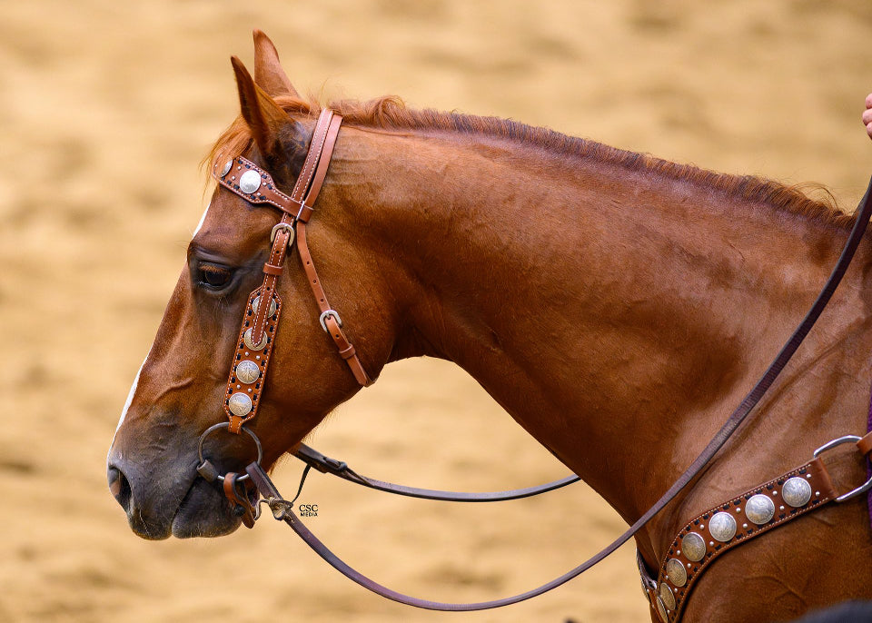 Dinero Headstall