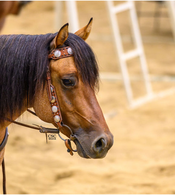 Dinero Headstall