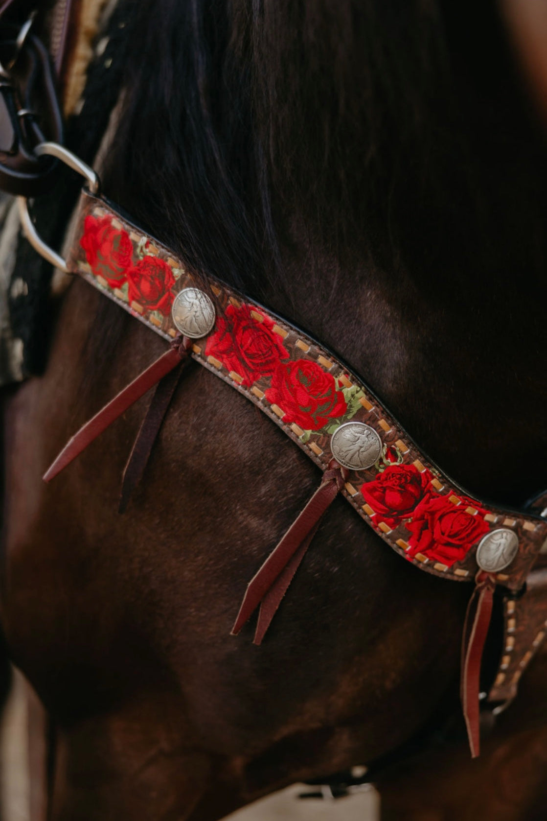 Rosita Breast Collar