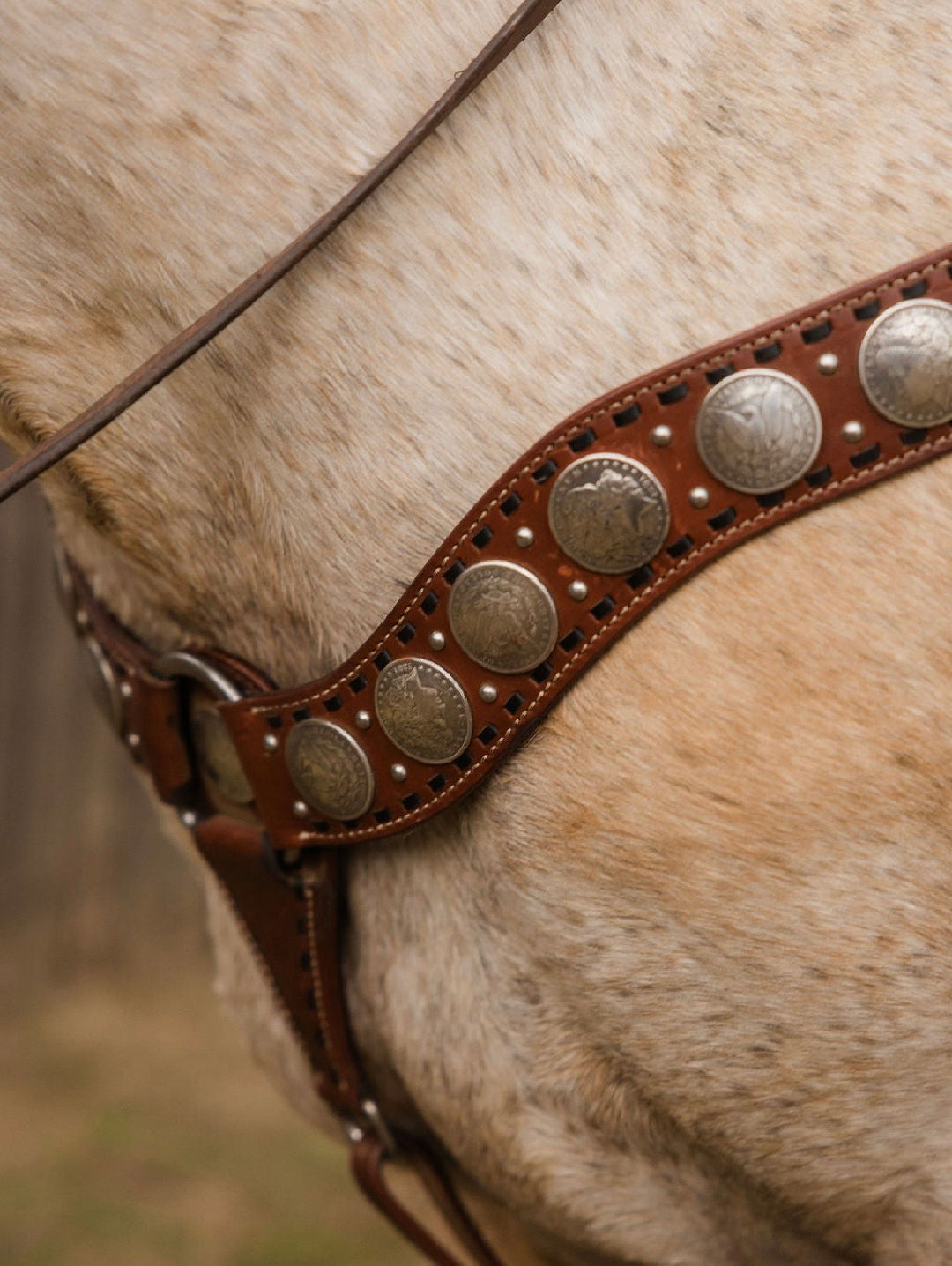Dinero Breast Collar
