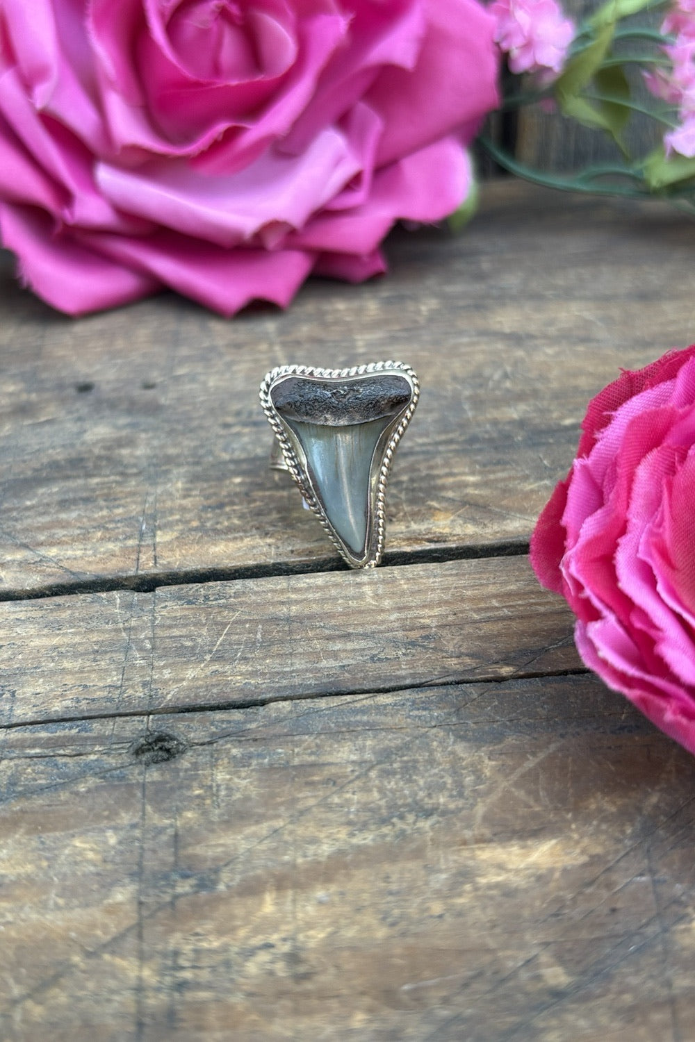 Shark Tooth Ring