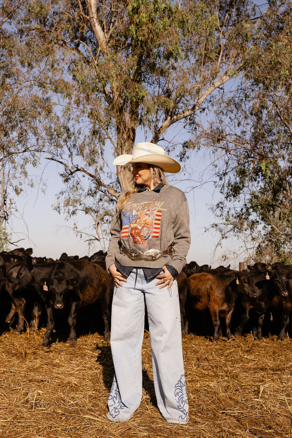 The Patriotic Paisley Jeans