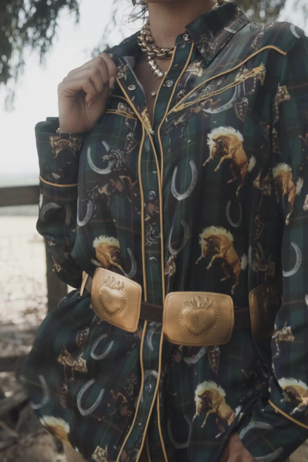 Lucky Plaid Pony Buck Button Up